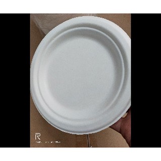 50 dĩa bả mía 18cm- thân thiện môi trường
