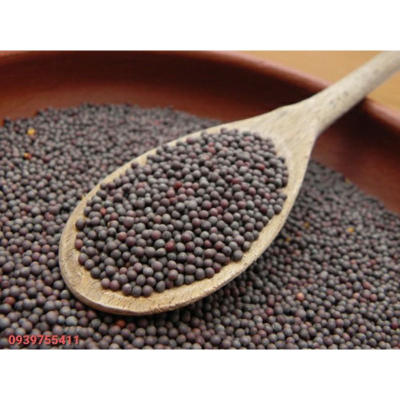 1KG HẠT CẢI DẦU CHO VẸT, FINCH, CHIM CẢNH