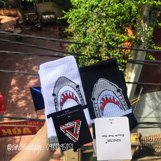 Tất cá mập Nam Unisex - Vớ cao cổ cá mập