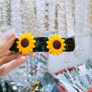 Kẹp càng cua Cúc họa mi