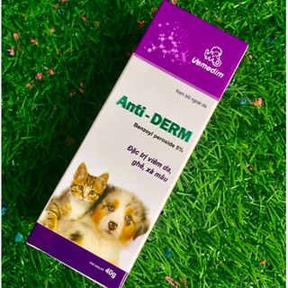 Bôi Ngoài Da ANTIDERM Đặc Trị Viêm Da, Ghẻ, Xà Mâu Cho Chó Mèo 40g - thuốc bôi nấm