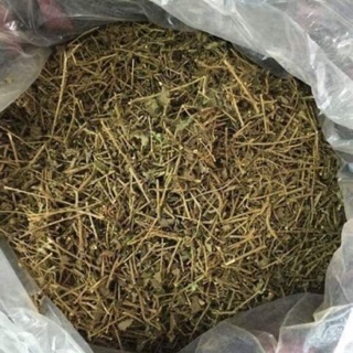 2kg cỏ sữa