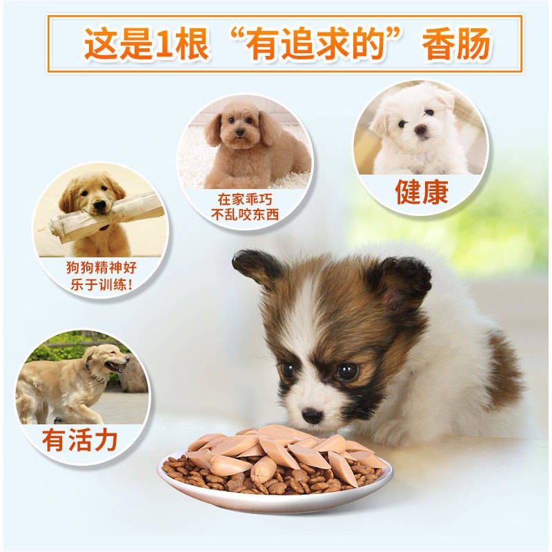 Yarhe Dog Snack Dog Ham Xúc xích Bán buôn 450g Teddy Cat Pupgie Gói quà tặng Snack Pet Hương