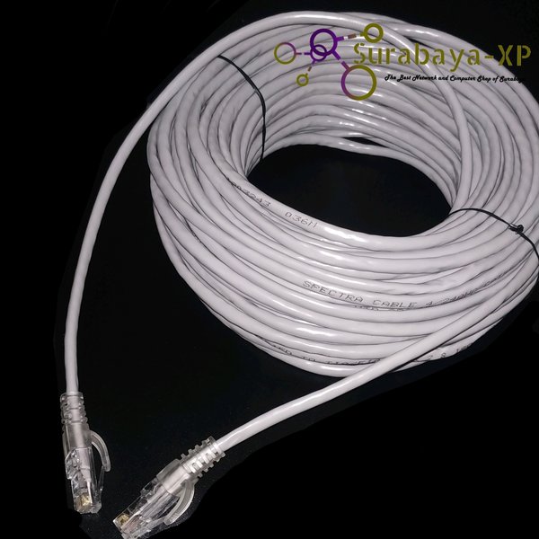 Dây Cáp 20m Lan Utp Cat 5e Spc Rj45 Amp