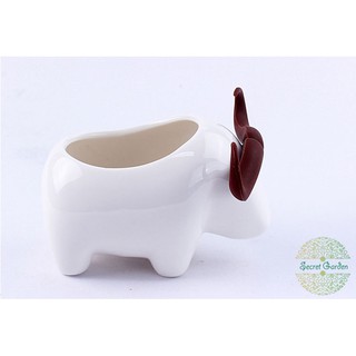Chậu cây thú sứ trắng