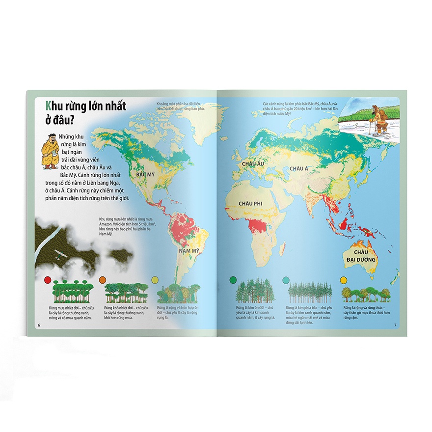 Sách- Em Muốn Biết Vì Sao - Thông Có Lá Kim