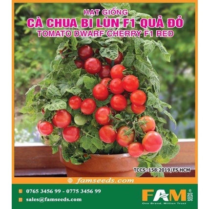HẠT GIỐNG CÀ CHUA BI LÙN F1 QUẢ ĐỎ - 0.1Gr