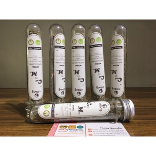 CỎ MÈO ỐNG CATNIP (CỎ BẠC HÀ) 40ML DÀNH CHO MÈO