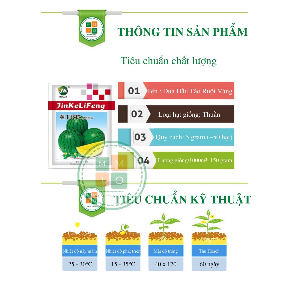 Hạt giống dưa hấu táo ruột vàng