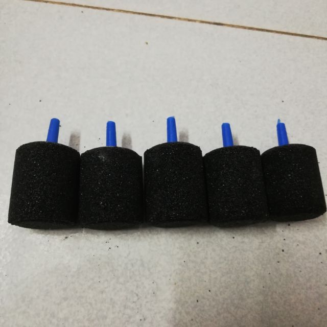 Combo 5 sủi oxi mịn lớn