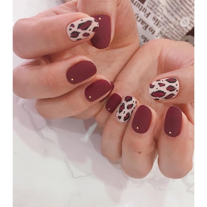 Sơn top lì hoa hồng chính hãng siêu lì mịn