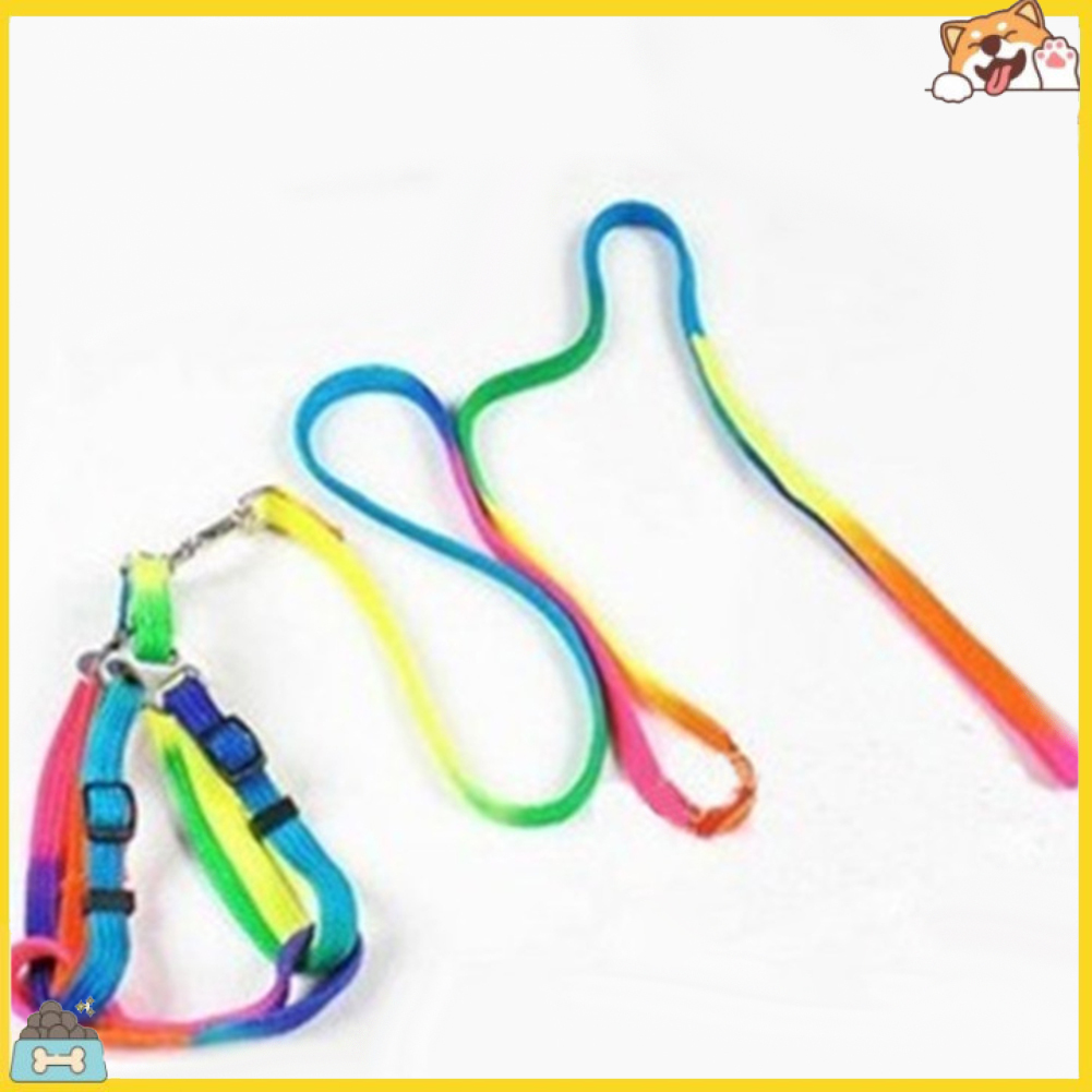Dây đeo cổ nhiều màu sắc kèm dây dắt cho chó cưng