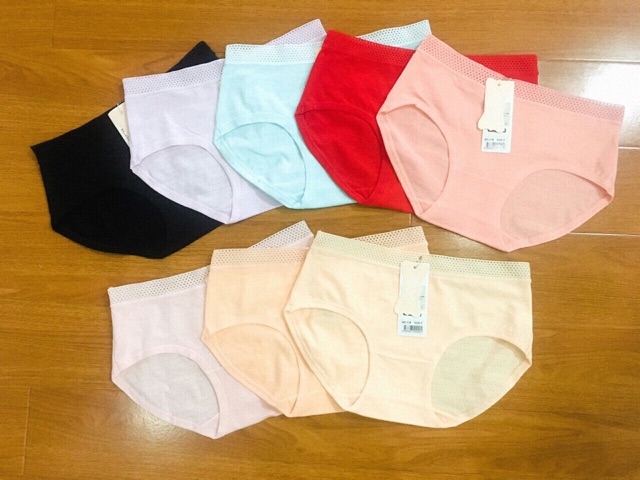 Quần cotton thông hơi Hàn Quốc siêu mát