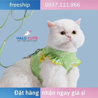 Dây dắt kèm đai yếm tay cánh tiên cho thú cưng, chó mèo