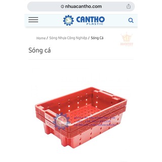 sóng cá- kết cá