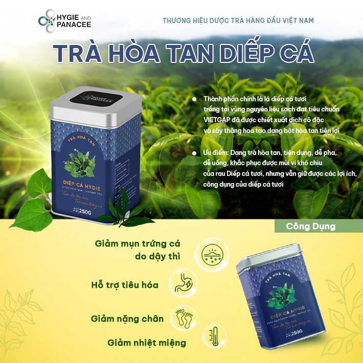 Trà Diếp Cá Hygie 50g/250g thanh nhiệt mát gan giảm nóng, dịch chiết diếp cá dạng hòa tan không tanh