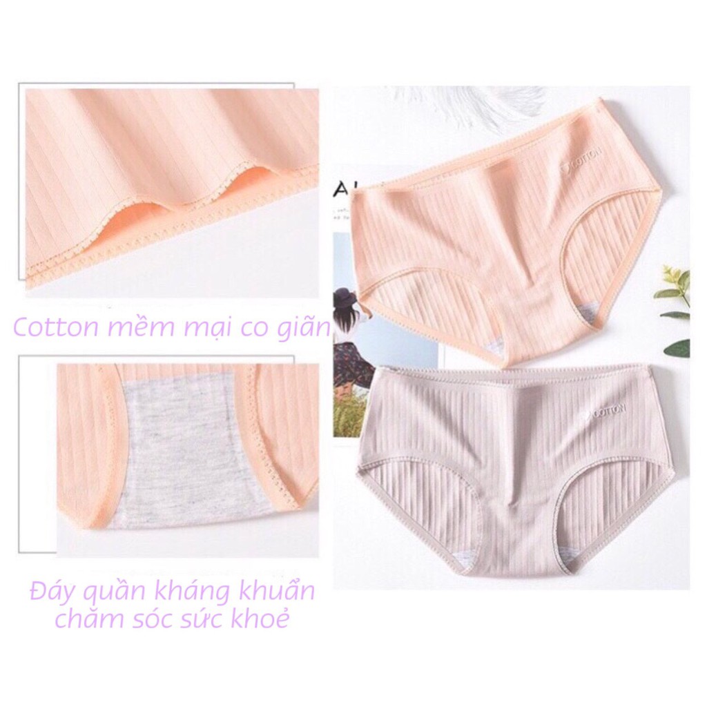 Quần Lót Nữ Cotton Gân Tăm Mềm Mại 🍍 Quần Lót Cotton Chống Viêm Kháng Khuẩn Họa Tiết Tim nhỏ