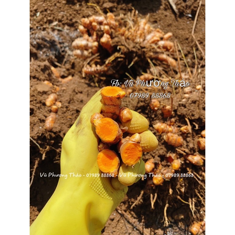 SỮA RỬA MẶT TINH HOA NGHỆ MOM SHIN 100ML | Vũ Phương Thảo Mom Shin | Shop Mẹ Thảo | Ở Cữ Mẹ Shin Min Gin