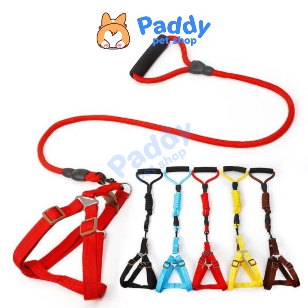 Set Dây Dắt Zichen Cho Chó Mèo