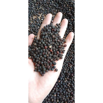 Hạt tiêu đen nhà trồng gói 500g Xuất xứ Đăk Lăk