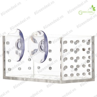 EBI VN - Cốc trồng cây Arcylic (10 x 5 x 5 cm) | Phụ kiện hồ cá thủy sinh