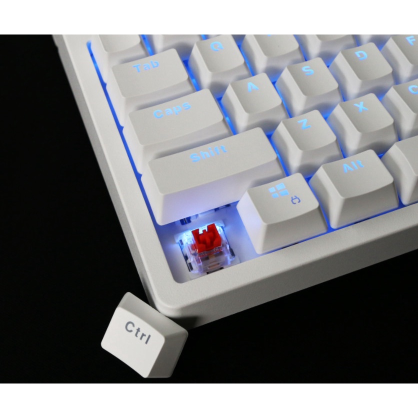 Bàn phím cơ E-Dra EK3104 Trắng White Ice/ Led xanh version 2021 (Blue/ Brown/ Red switch)