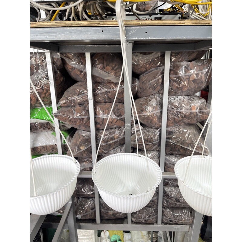 Chậu treo sọc Hưng Thịnh hàng loại 1 dày đẹp,hàng sẵn kho