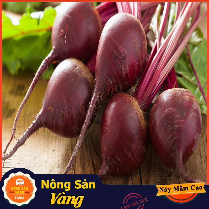 Hạt giống Củ Dền Đỏ ( Gói 2 Gram ) - Nông Sản Vàng