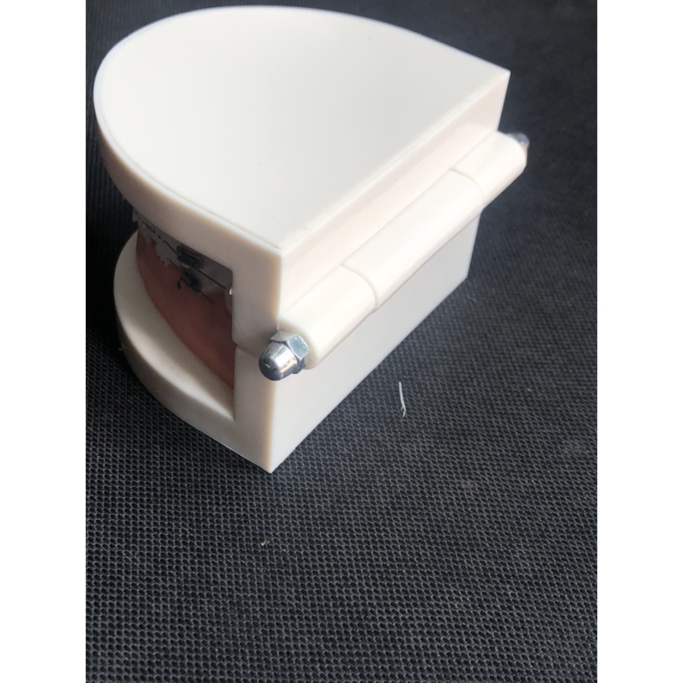 Mẫu hàm tư vấn nha khoa - Mẫu hàm tư vấn gắn mắc cài 2in1