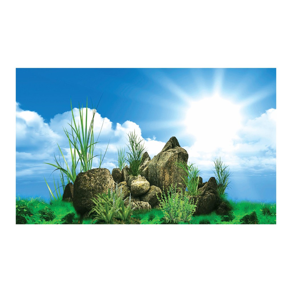 TRANH DÁN HỒ CÁ NHIỀU KÍCH THƯỚC_THIẾT KẾ NÀNG THƠ