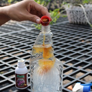 Chế phẩm Smin Hoa Lan 100ml