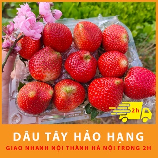 (Hà Nội) Dâu Tây Mộc Châu dâu bi