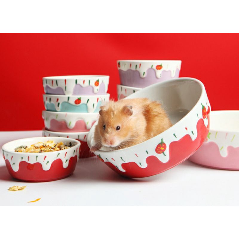 Bát ăn,bồn tắm lớn dâu tây cho hamster và thú cưng nhỏ