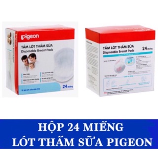 Hộp 24 miếng thấm sữa pigeon