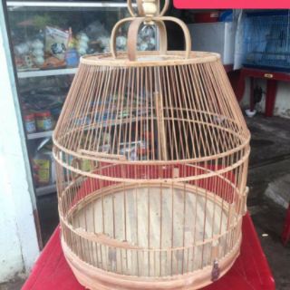 Nước tẩy mốc lồng chim Báu Lê