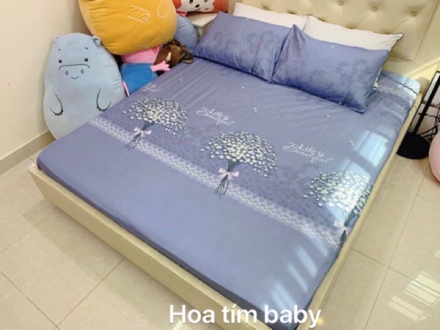 Set ga chun và 2 vỏ gối cotton poly. Đủ size, đc chọn mẫu,sẳn hàng tại tp hcm