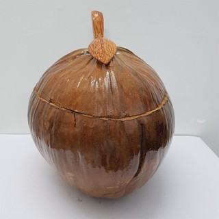 Vỏ đựng bình trà trái dừa chiếc lá