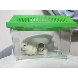 [Mã PET50K giảm Giảm 10% - Tối đa 50K đơn từ 250K] HỘP MIKA VẬN CHUYỂN HAMSTER