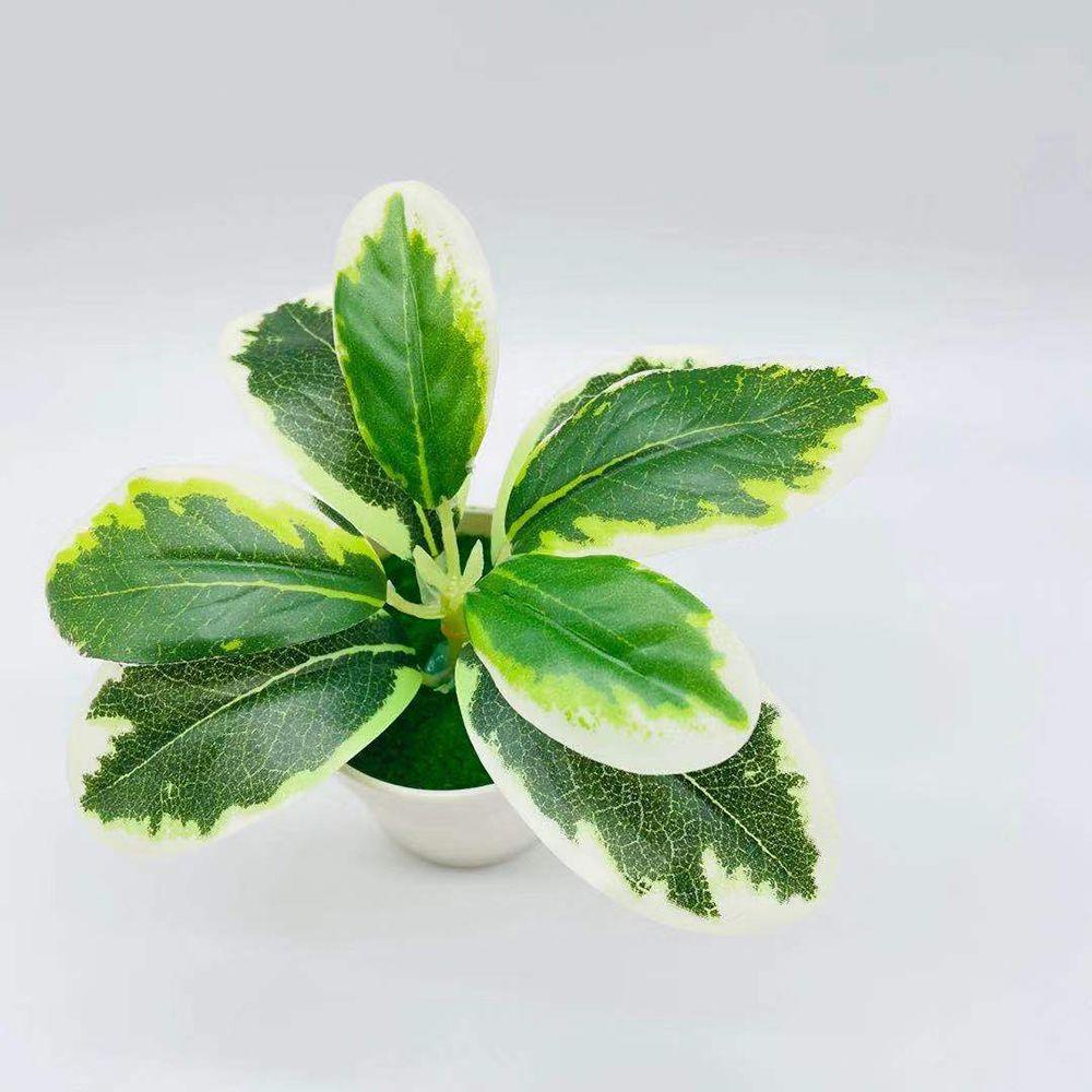 Chậu Cây Bonsai Nhân Tạo Trang Trí Nhà Cửa