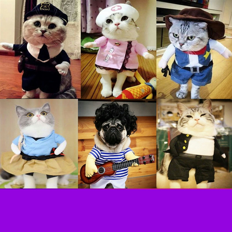 Mới Bộ Đồ Hóa Trang Siêu Nhân Ngộ Nghĩnh Cho Thú Cưng