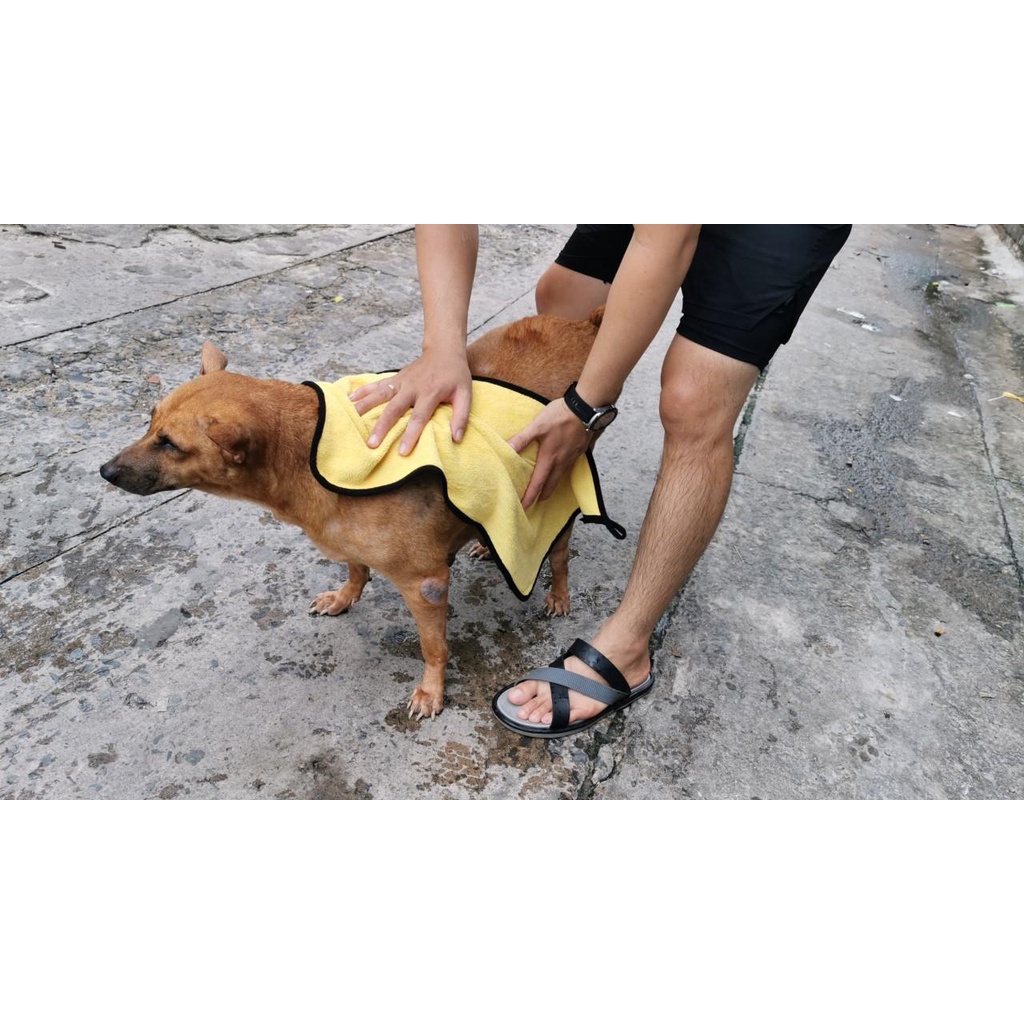 Khăn Tắm Chó Mèo Mềm Mịn Siêu Thấm Hút Microfiber Nhanh Khô, Không Rụng Lông