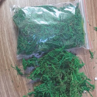 Gói rêu sợi để gốc cây giả cảnh