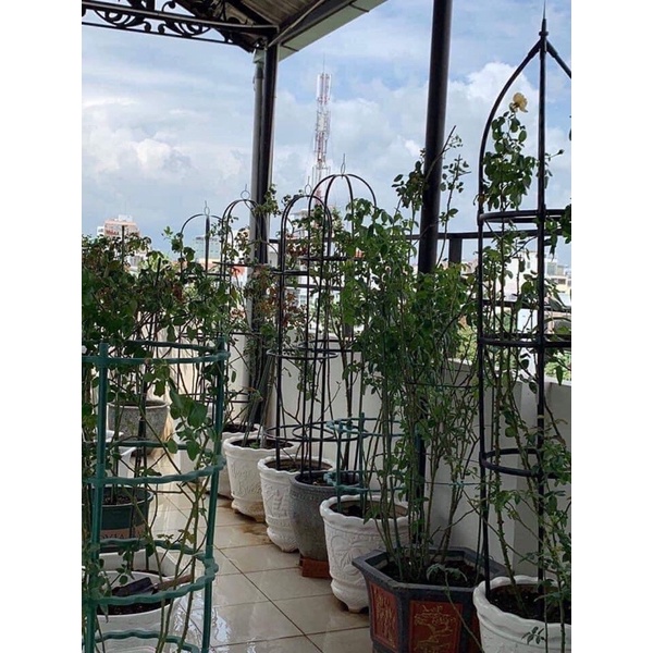 Khung đỡ, giá đỡ hoa hồng leo, cây hoa leo, trang trí màu trắng , xanh cao 1,8m, ĐK 40cm