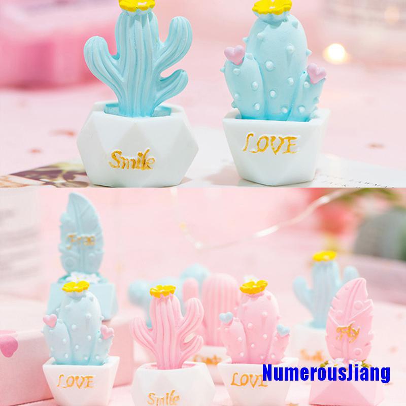 Set 10 Cây Xương Rồng Mini Dễ Thương Trang Trí