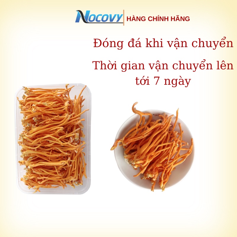 Đông trùng hạ thảo tươi nguyên sợi Nocovy hữu cơ hàng chuẩn, bảo hành tốt