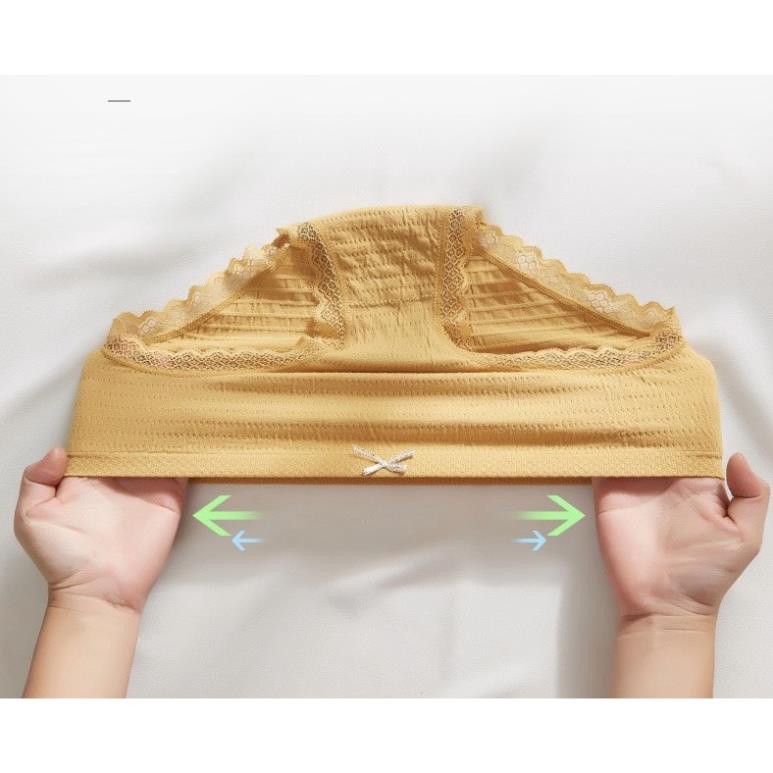 Quần Lót Nữ Cotton Kiểu Chip Nhăn Độc Đáo Cạp Đính Nơ Co Giãn 4 Chiều 5566 - LADY