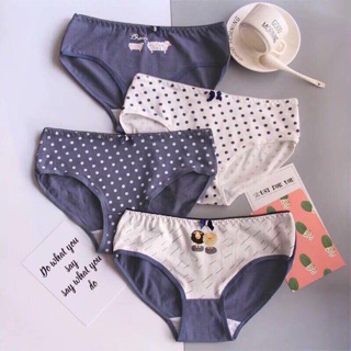 Combo 4 quần lót cotton nữ bộ 4 quần lót nguyệt san chống tràn