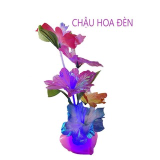 [FREESHIP-150K] CHẬU HOA ĐÈN LED MINI
