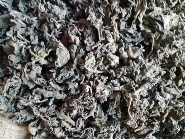 Lá húng chanh khô 100g