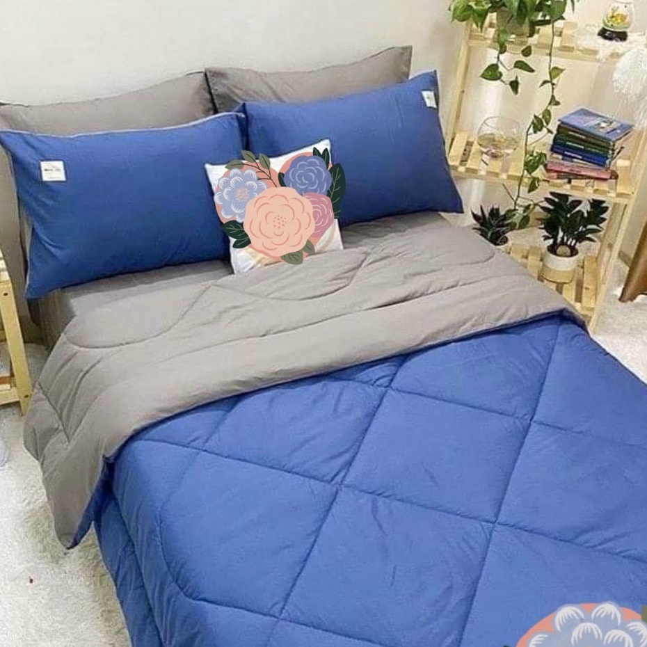 Bộ chăn phao trần bông và ga gối tici cotton phối màu trơn mền dày êm